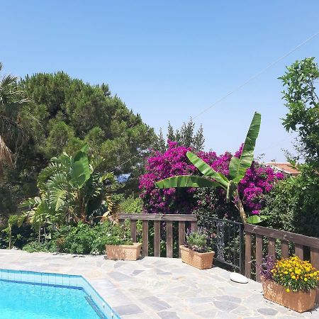 Villa Suites Lagonisi Luxury Esterno foto