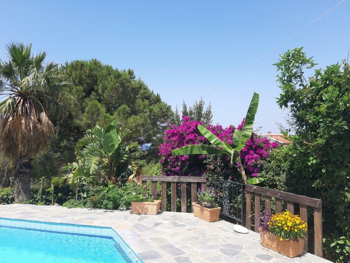Villa Suites Lagonisi Luxury Esterno foto